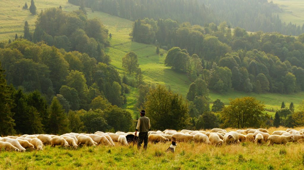 yorkshire farmer