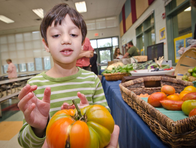 KS1_freeschoolmeals