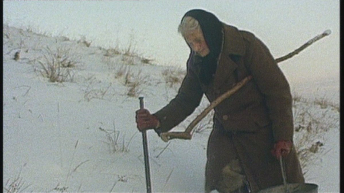 Hannah Hauxwell Remembering a True Yorkshire Hero iYorkshire