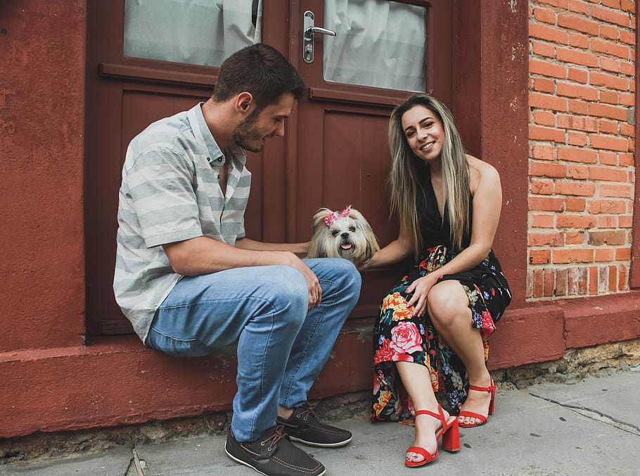 Romantic image of Couple petting a dog [Source: Piqsels]