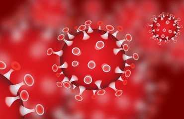Coronavirus [Source: Pixabay]