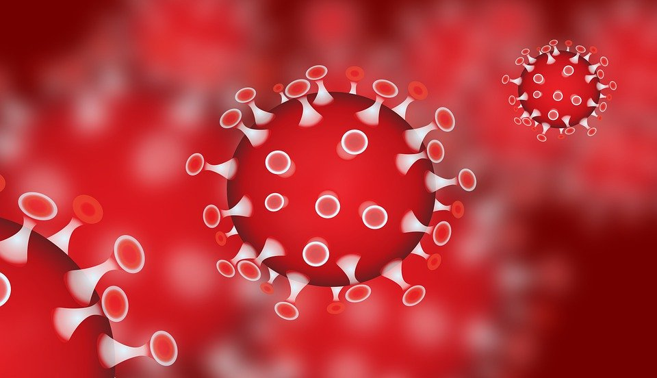 Coronavirus [Source: Pixabay]